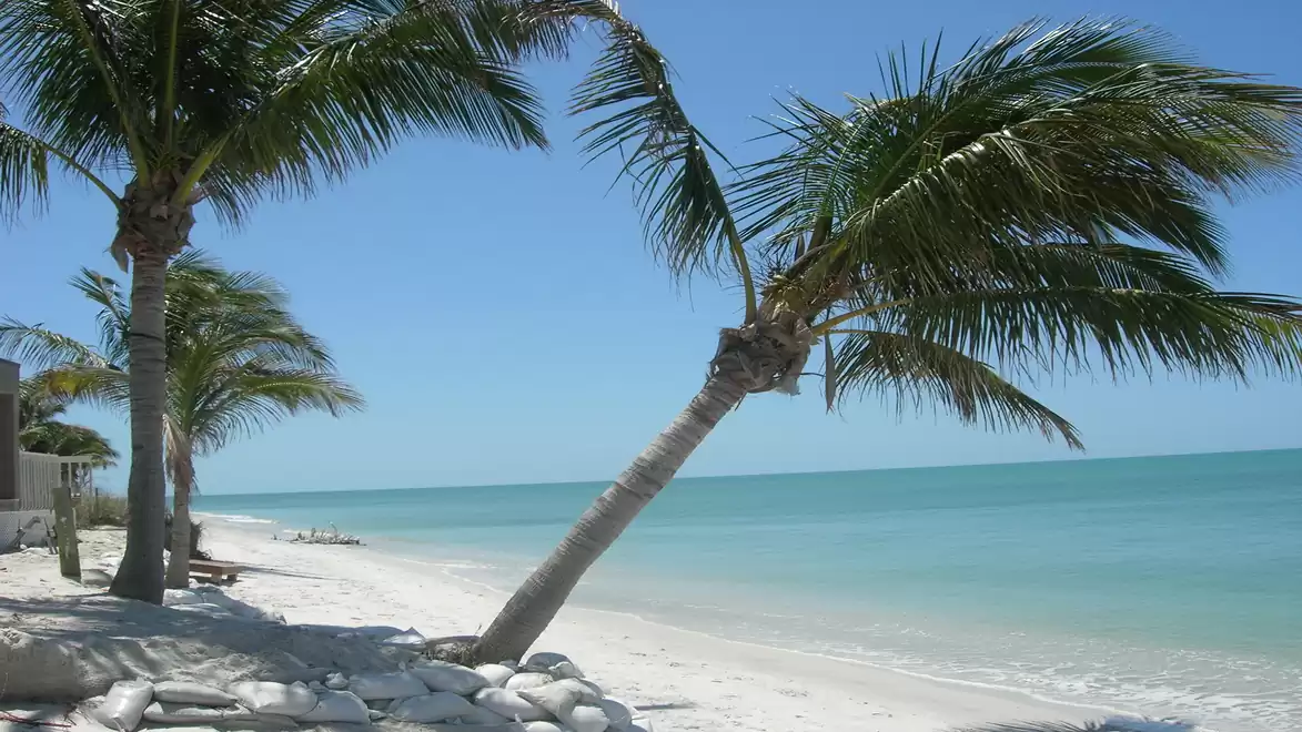 A tropical beach with palm trees, white sand, and clear blue water on a sunny day.