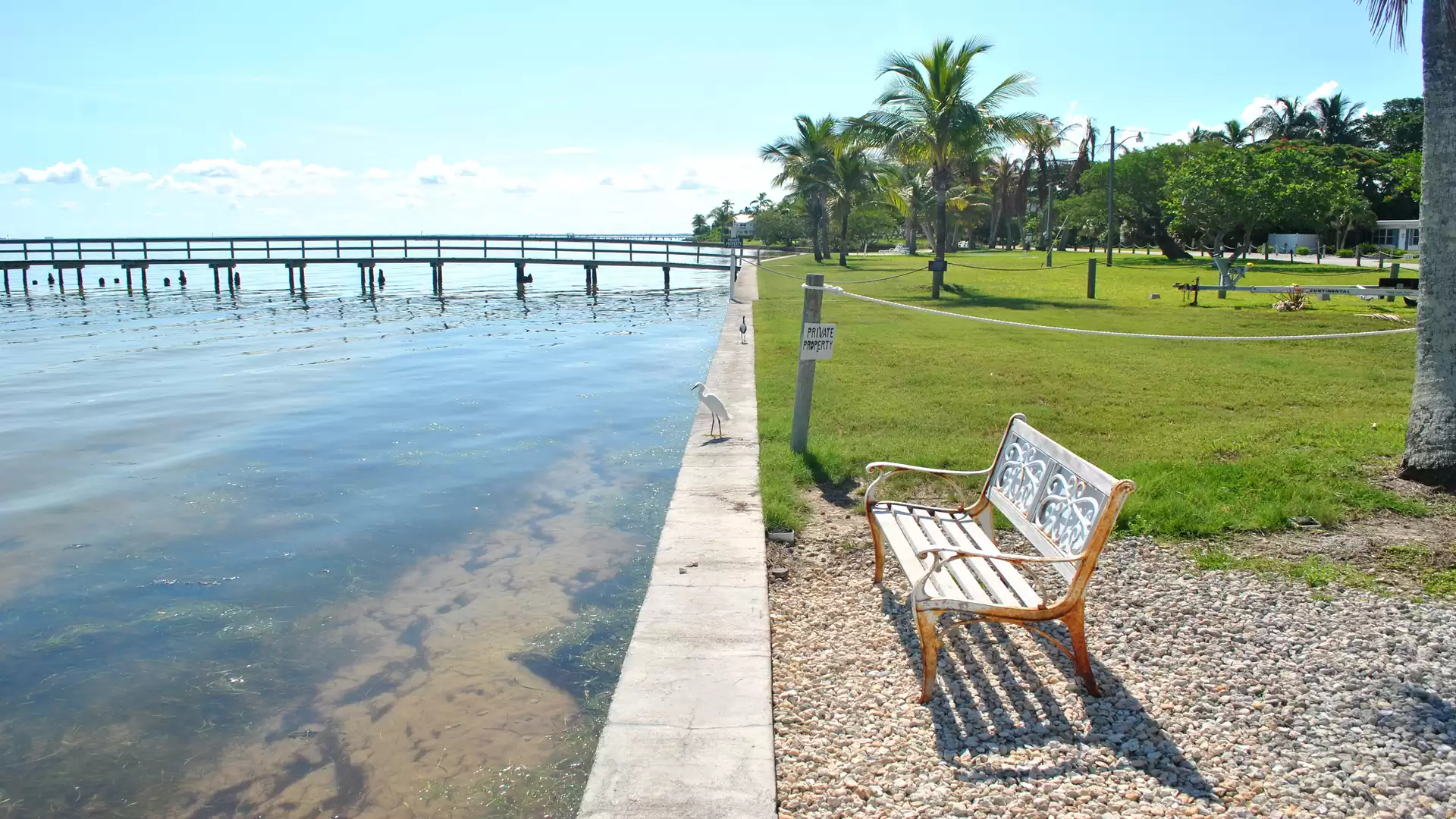 A bench by a waterfront with a pier, surrounded by palm trees and green grass in the sunshine.