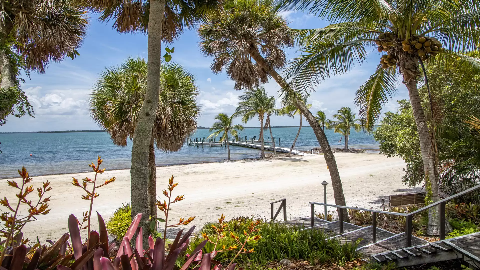 Tropical beach with palm trees and a wooden jetty leading into the blue sea.