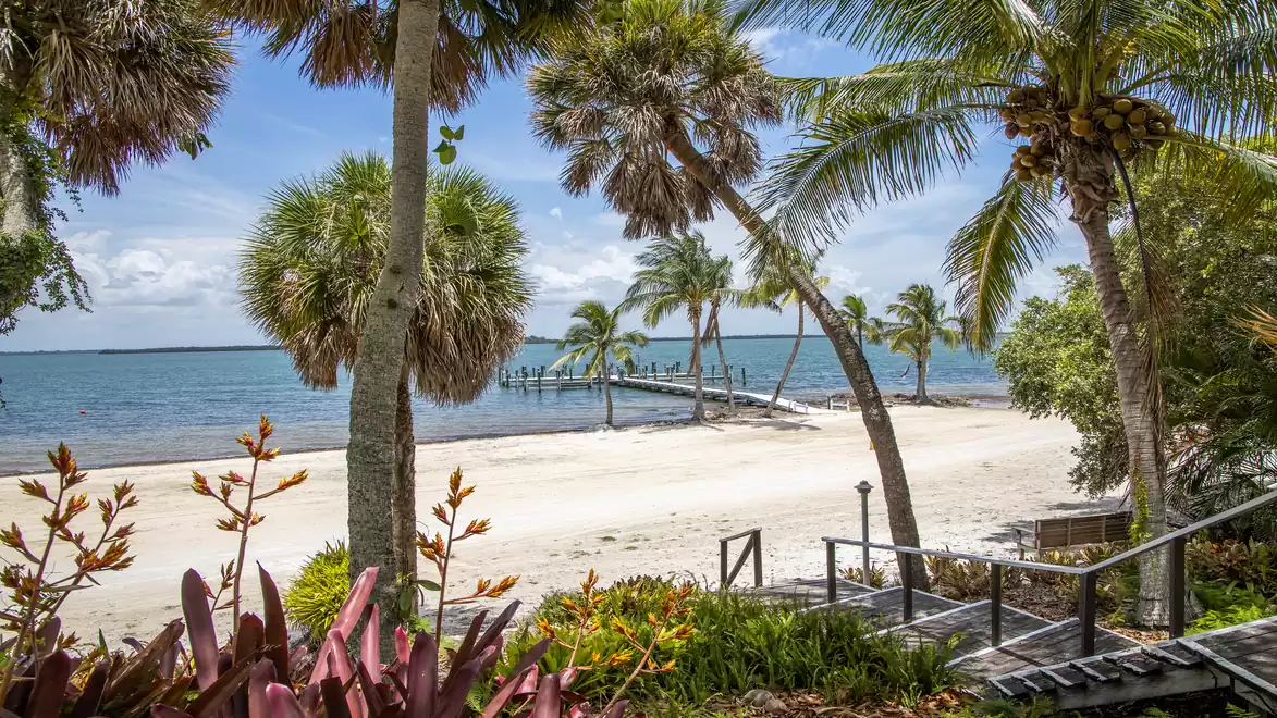 Tropical beach with palm trees and a wooden jetty leading into the blue sea.