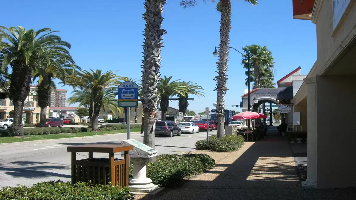 Street scene with palm trees on a sunny day, sidewalk, and shops.