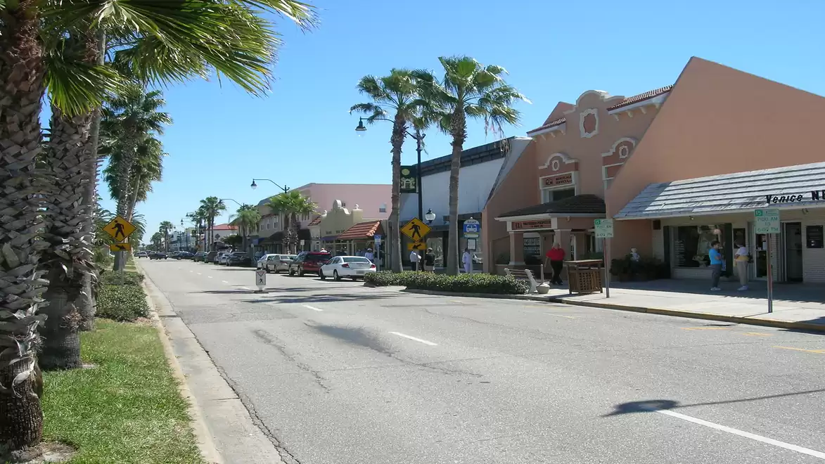 A sunny street lined with palm trees and shops, reflecting a clear blue sky.