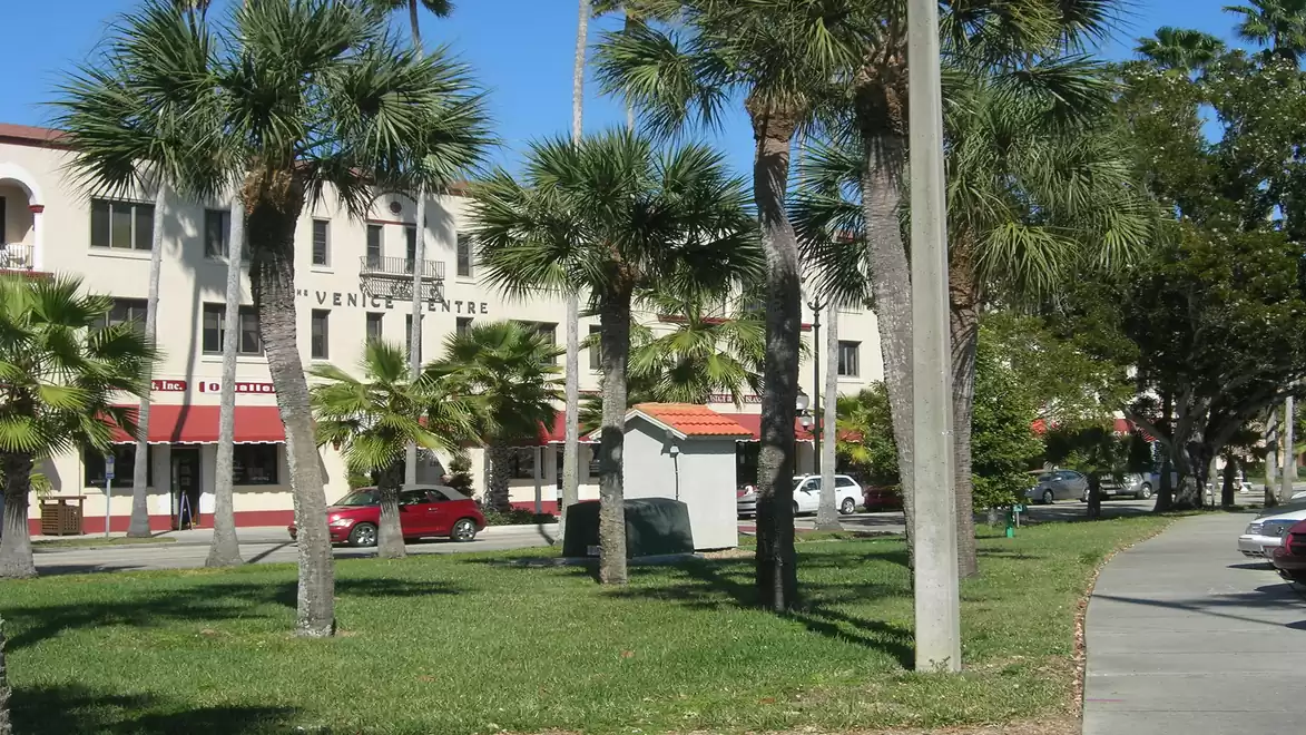 Urban street with palm trees in the foreground and buildings in the background on a sunny day.