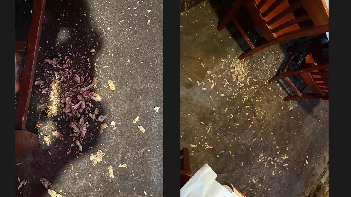 Image of peanut shells on a floor in a restaurant with wooden furniture