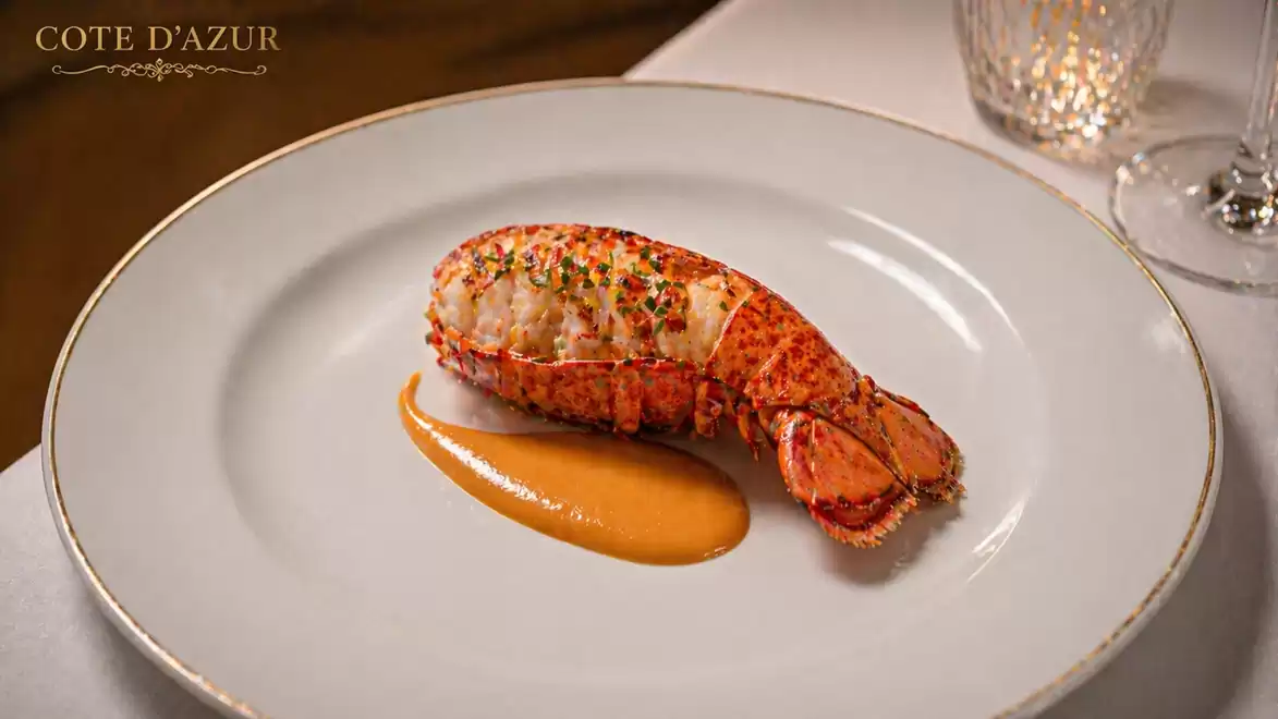 An elegant gourmet dish featuring succulent lobster on a white plate, presented with a smooth sauce, perfect for food connoisseurs and luxury dining.