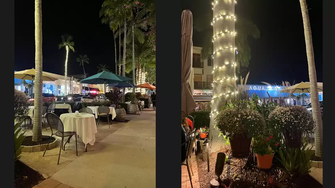Night scene of a restaurant with lit trees and empty outdoor tables creating a serene atmosphere.