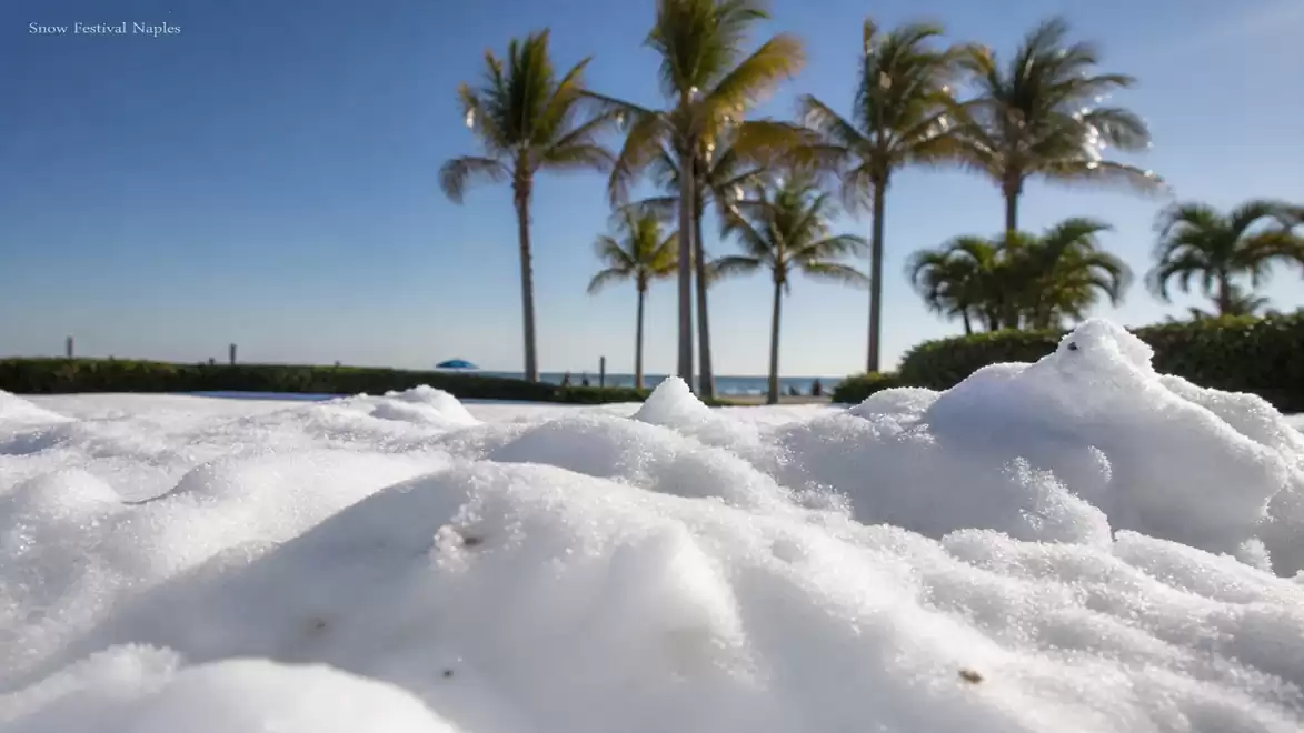 Sand mounds at a tropical beach with palm trees and clear sky in the background.