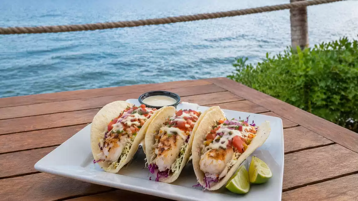 Three fresh fish tacos served on a white plate with limes and sauce, with a scenic body of water in the background.
