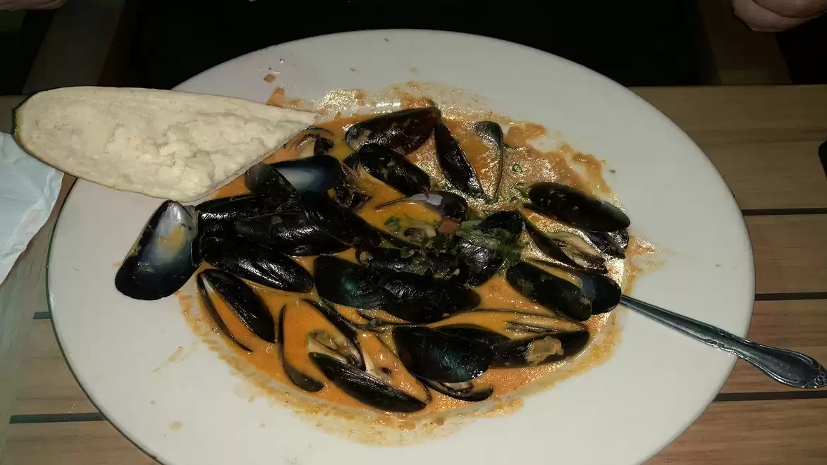 A plate full of mussels in a creamy sauce with a piece of bread and a spoon.