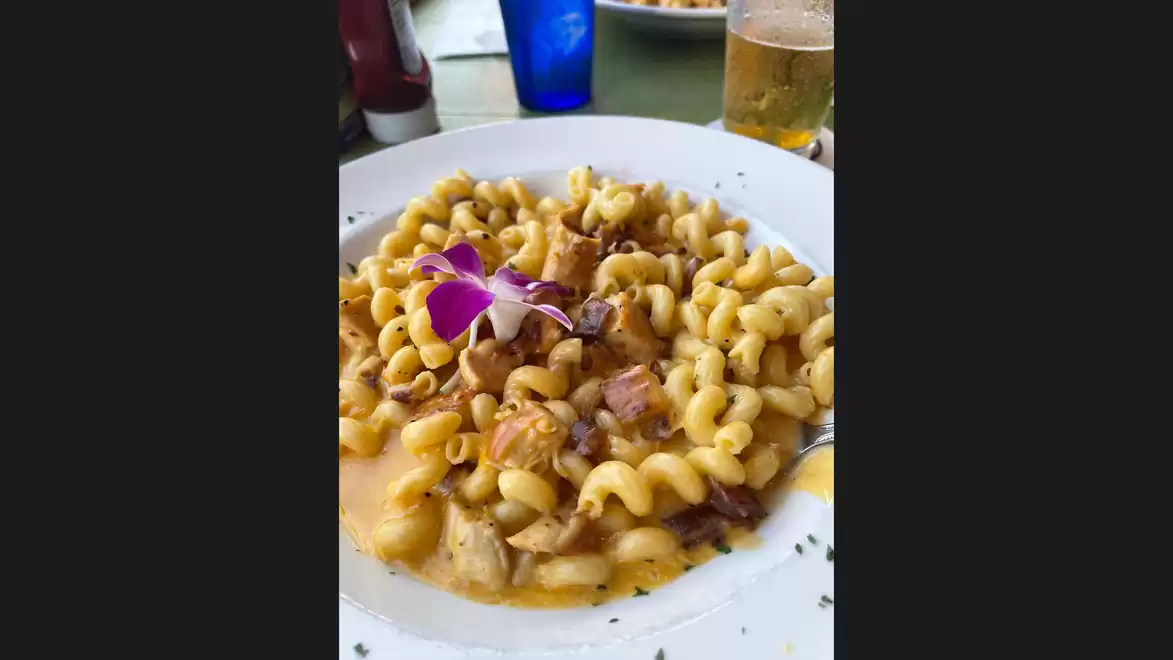 Close-up of a plate with spiral pasta in creamy sauce, garnished with a flower, with a drink in the background.