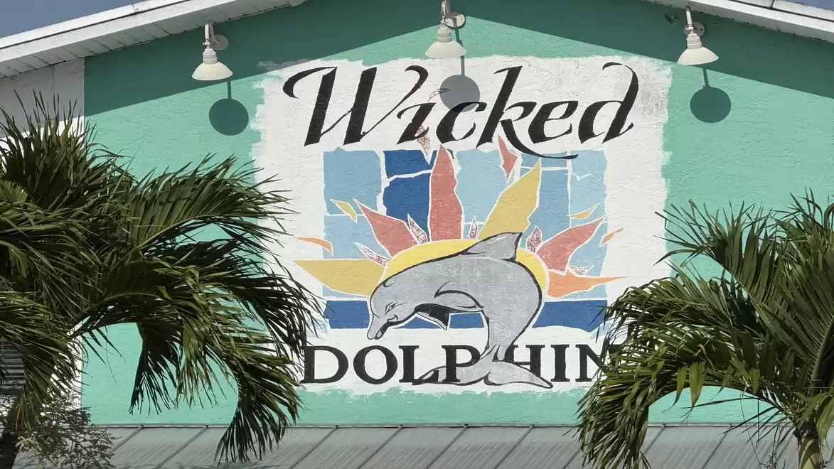 A colorful mural on a turquoise building shows a jumping dolphin against a sunset backdrop, surrounded by palm trees.