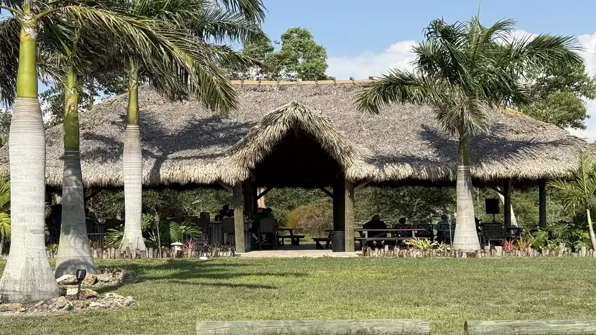 A tropical shelter made of wood and straw, surrounded by palm trees with a lawn in the foreground.