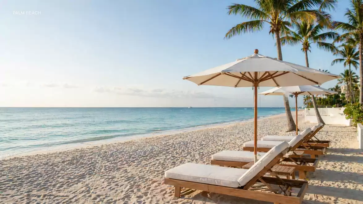 Sun loungers under umbrellas on a tropical sandy beach with palm trees and clear sea.