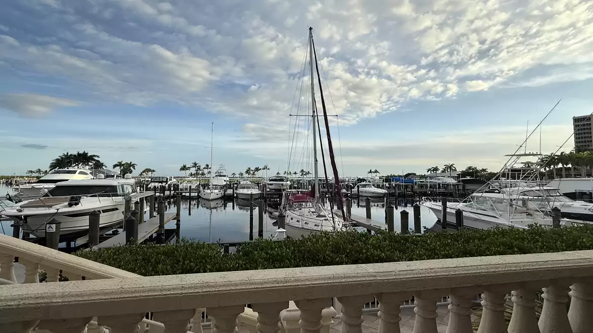 A picturesque harbor view with several yachts and sailboats, surrounded by palm trees under a cloudy sky.