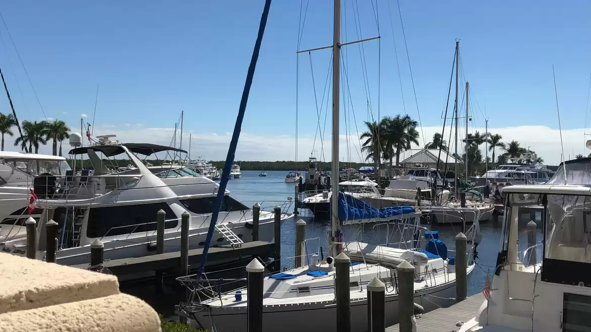 A sunny marina with several sailboats and yachts, surrounded by palm trees.