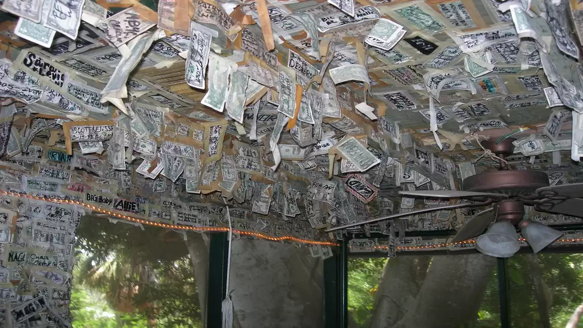 A ceiling covered with attached dollar bills featuring a ceiling fan in the foreground. Daylight filters through the windows, highlighting the unique room decor.