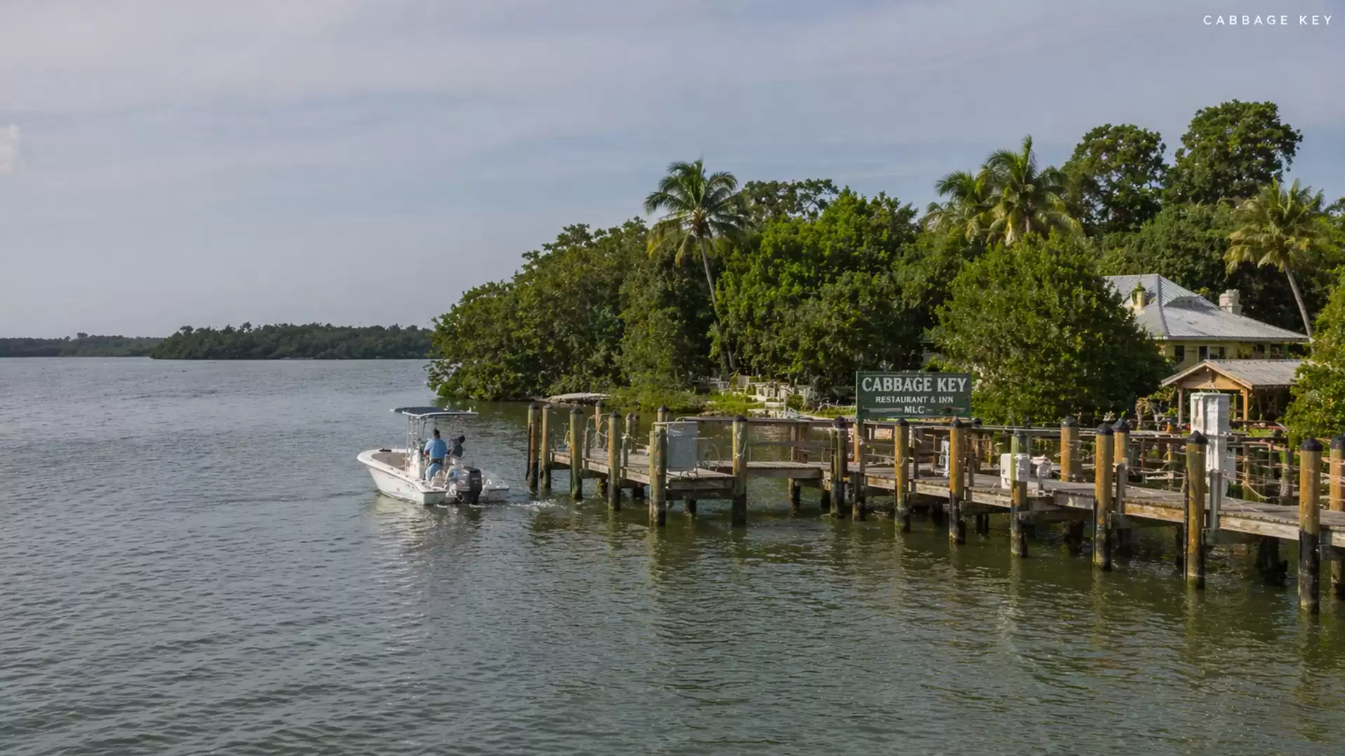 A motorboat approaches a wooden dock on a lush, tropical island.