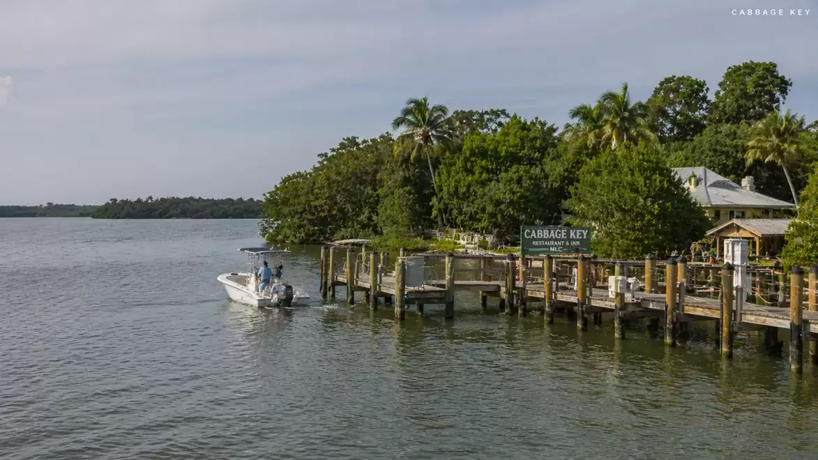 A motorboat approaches a wooden dock on a lush, tropical island.