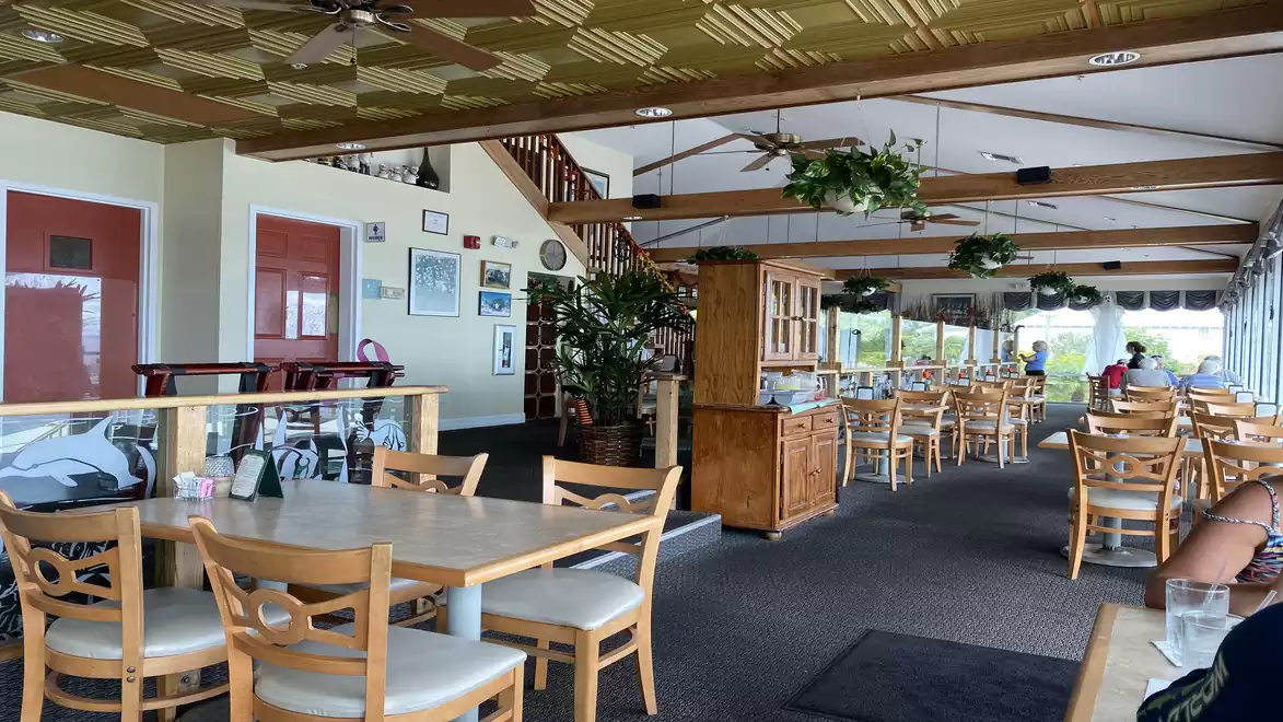 A cozy restaurant with wooden furniture and plants on the ceiling, daylight streaming through large windows.