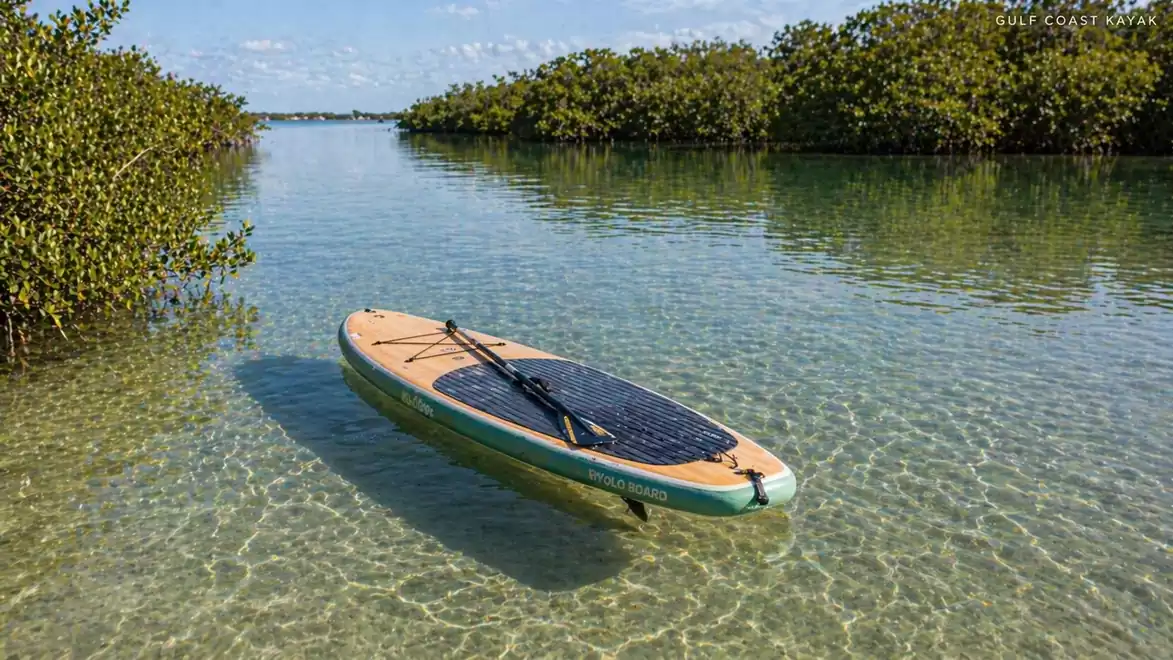 A stand-up paddleboard floats on clear, shallow water surrounded by lush mangroves on a sunny day.