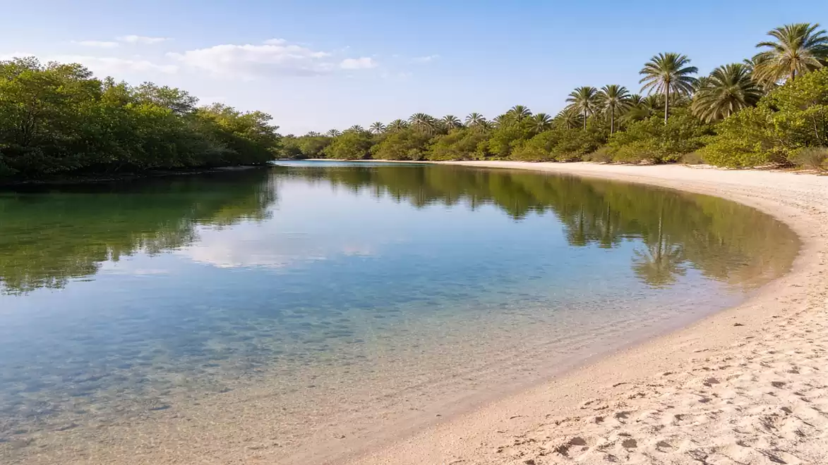 A serene beach with clear water and lush vegetation in the background under a blue sky.