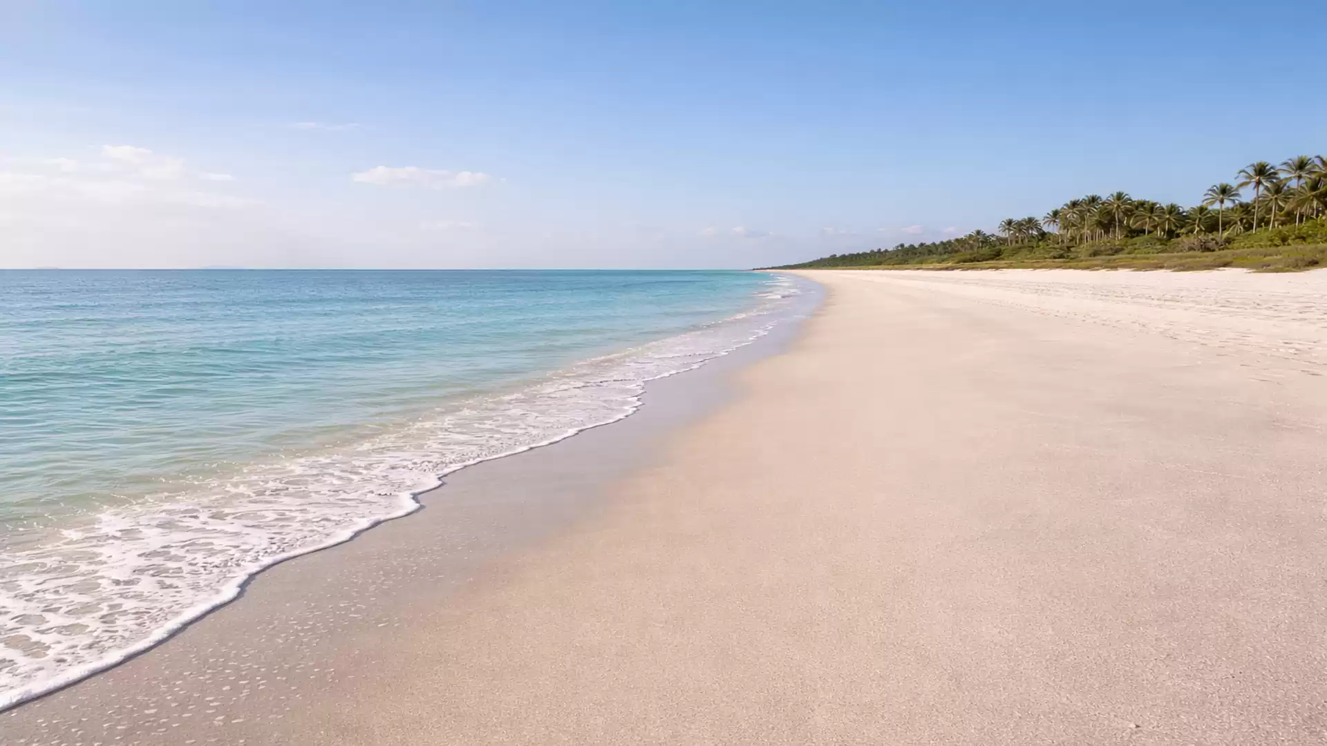 An empty, sunny sandy beach with clear blue water and palm trees in the background.