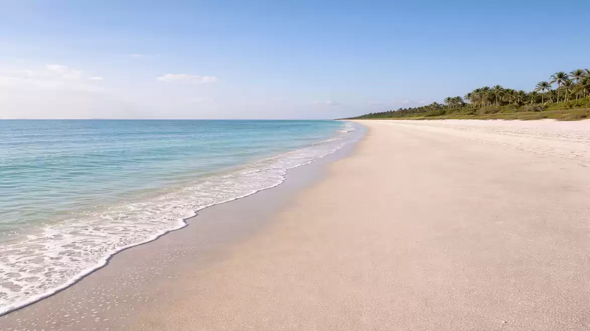 An empty, sunny sandy beach with clear blue water and palm trees in the background.