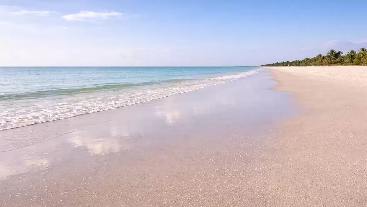 A long, calm sandy beach with gentle waves, clear blue sky, and palm trees in the background.