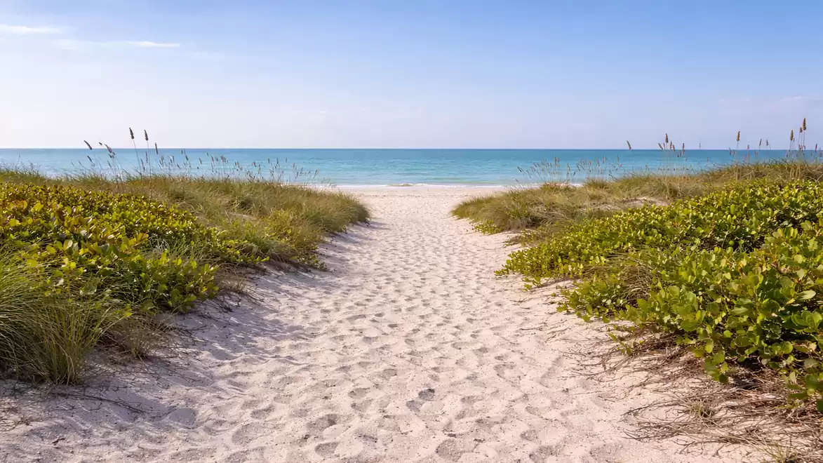 A sandy path leads through dunes to a vast blue sea under a clear sky.