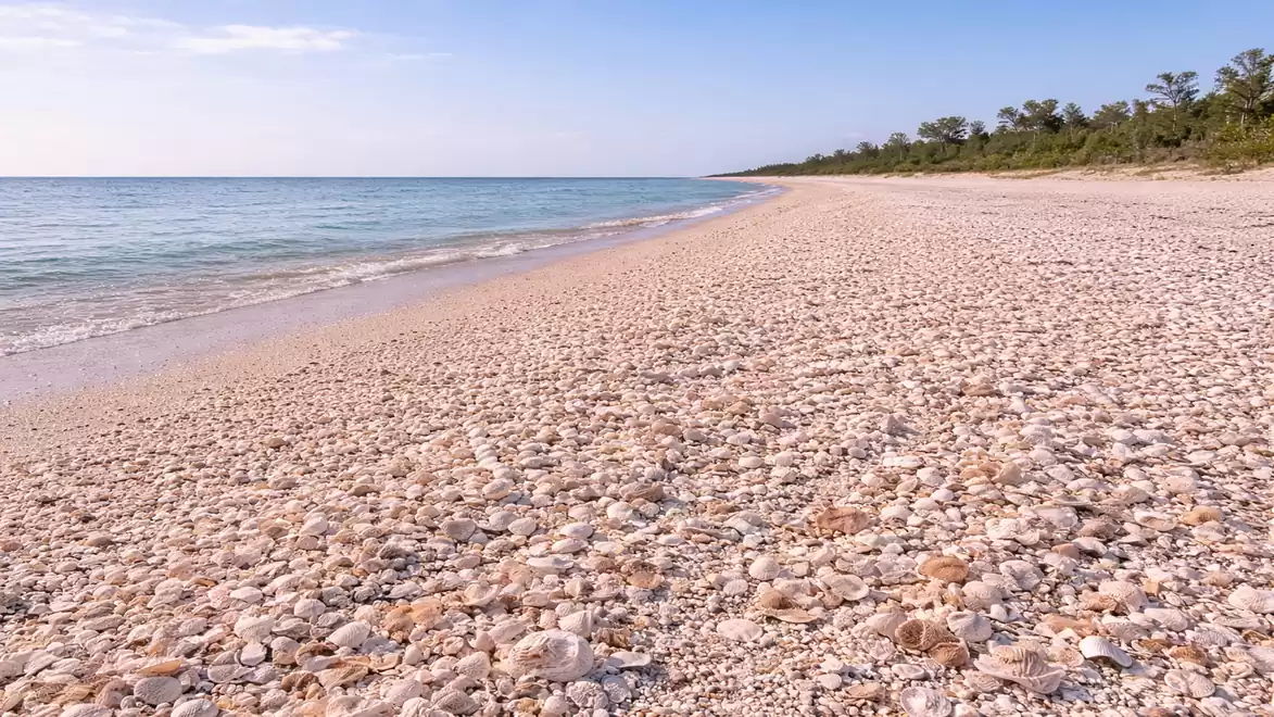 A beautiful pebble beach under a clear sky with crystal-clear water and a forested coastline.
