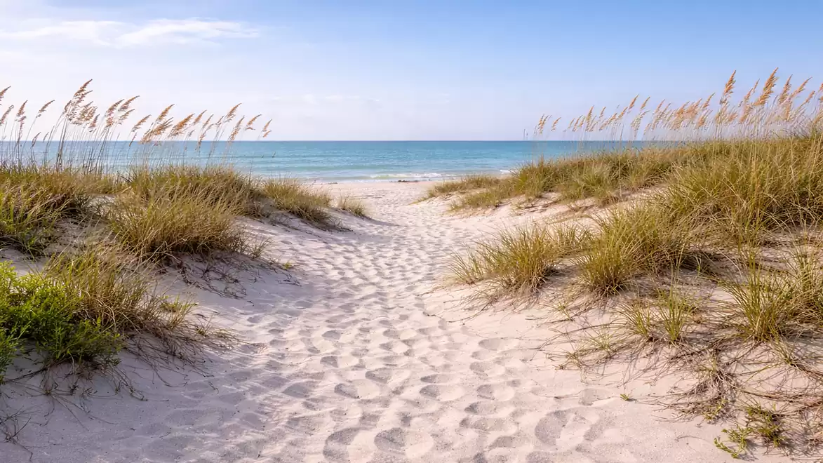 A sandy path leads through dunes to the blue sea under a clear sky.