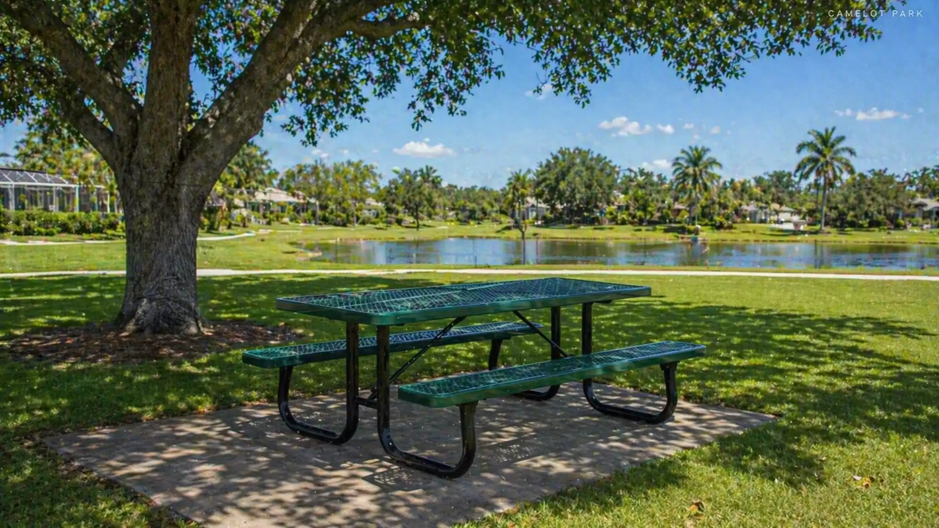 Green picnic table in a park surrounded by trees and a tranquil lake on a sunny day.