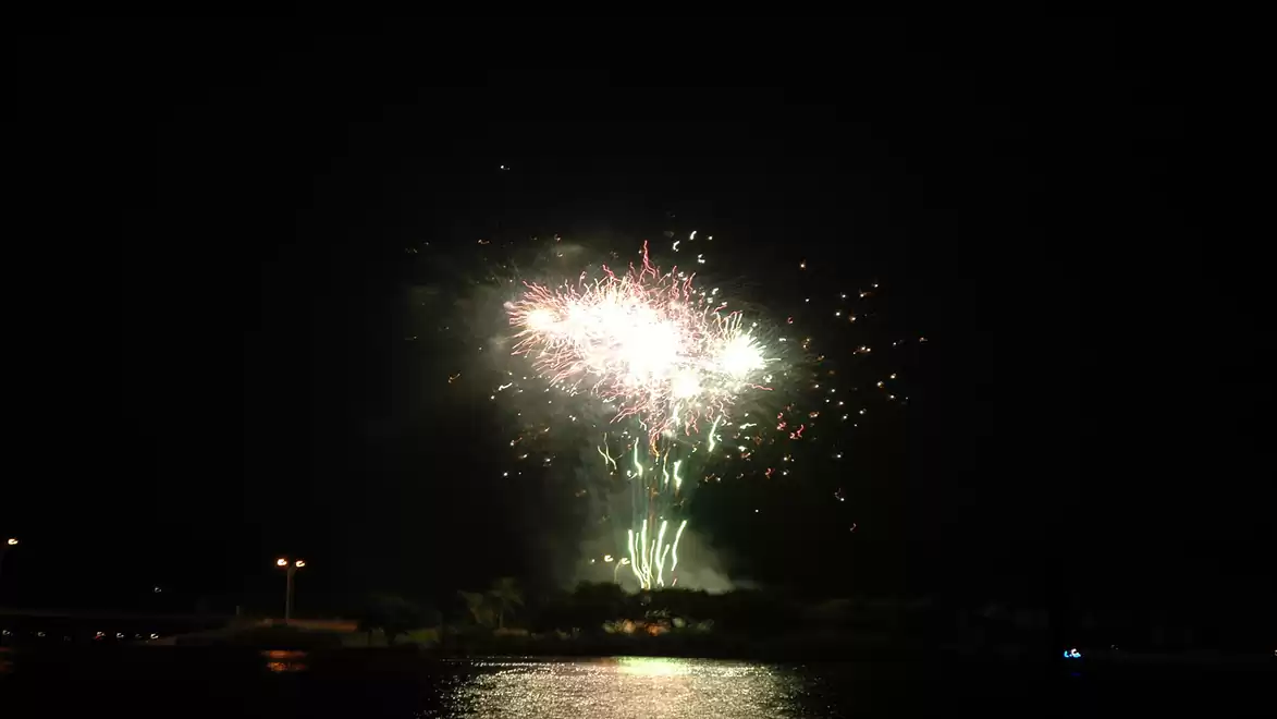 A colorful firework illuminates the night sky over a calm body of water.