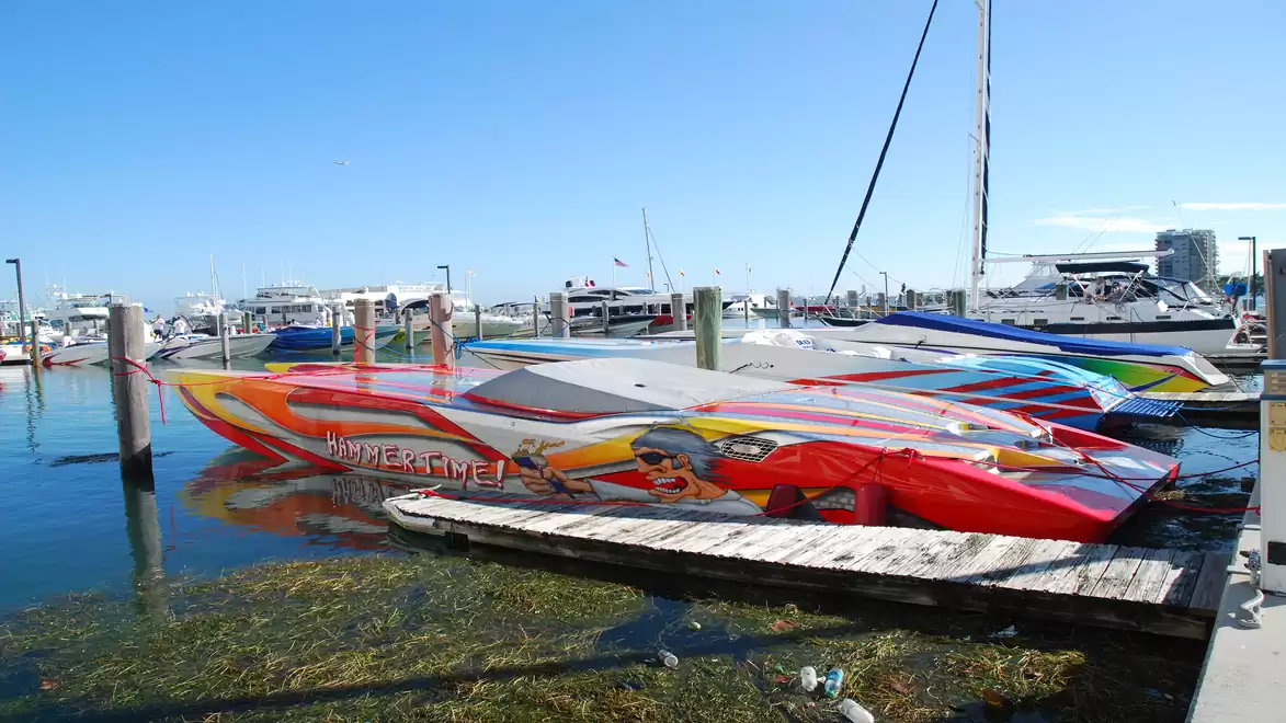 Several colorful speedboats moored at the harbor, blue sky in the background.