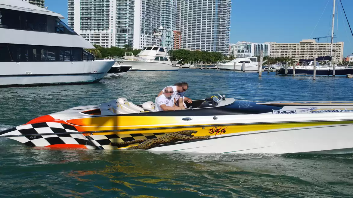 A yellow speedboat cruises in a marina with several large yachts and modern buildings in the background.