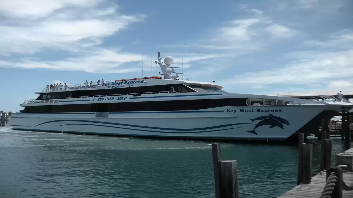 A large ferry is docked in the harbor on a sunny day. It is white with blue stripes and features a dolphin motif, floating on calm water.