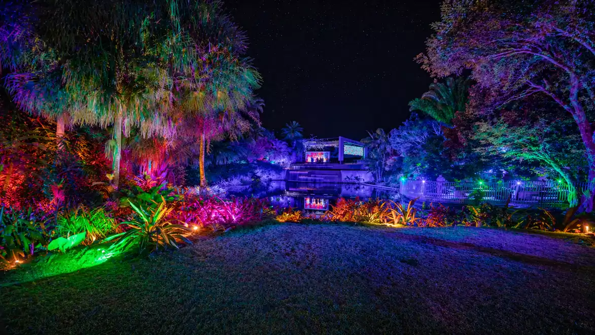Night scene of an exotic garden with vibrant, colorful lights illuminating trees and plants in various colors.