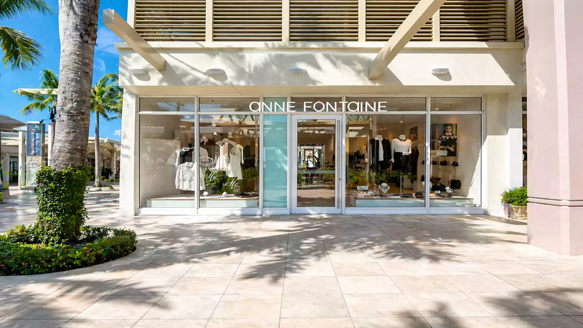 Elegant photo of a fashionable clothing store with stylish windows, surrounded by palm trees in the sunshine.