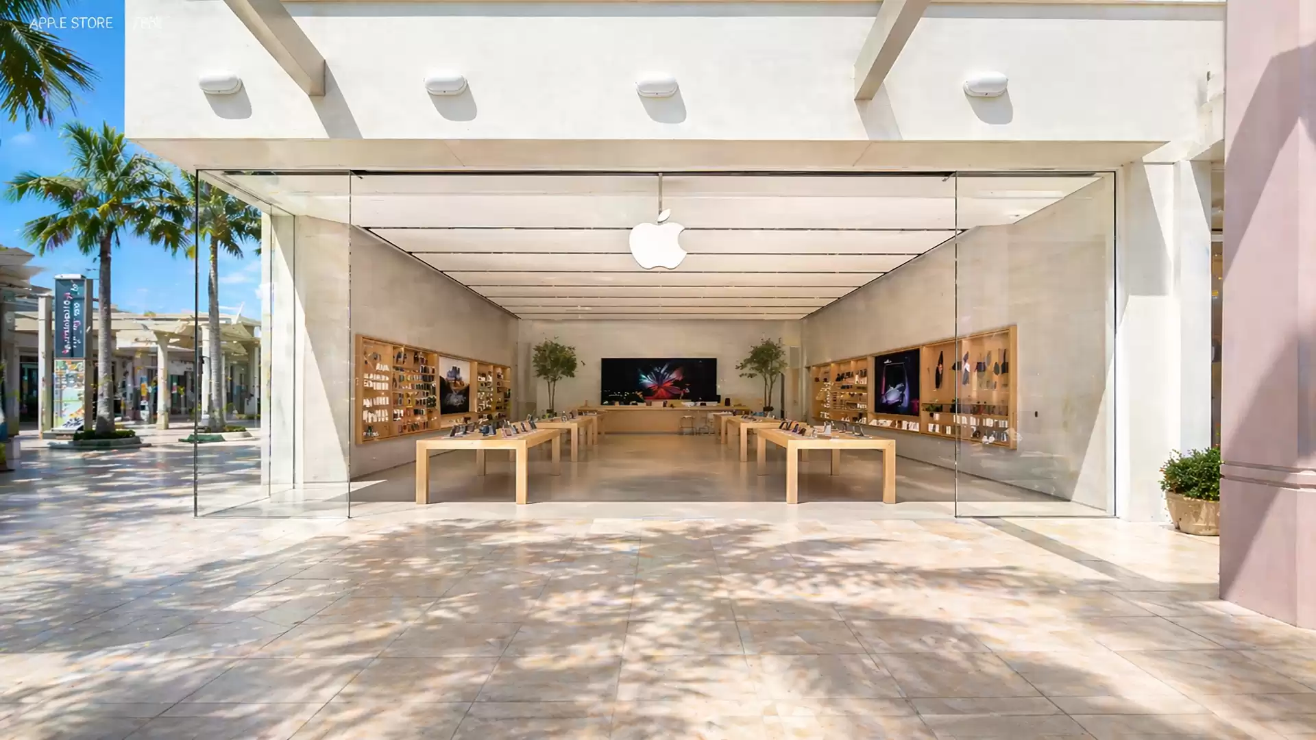 Modern store with open glass entrance, palm trees, and blue sky in the background. Minimalist interior design with wood and high-tech products.