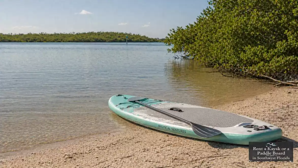 A stand-up paddleboard lies on the shore of a calm lake, with a view of wooded islands in the background.