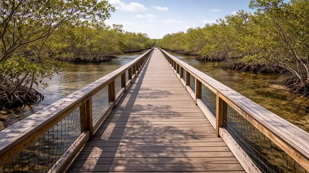 A long wooden walkway leads through dense mangrove trees over clear water under a blue sky.