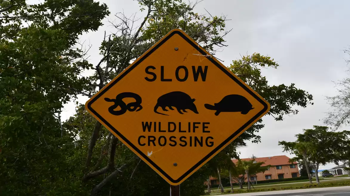 Road sign with animals warning for slow driving and wildlife crossing, with trees and houses in the background under a cloudy sky.
