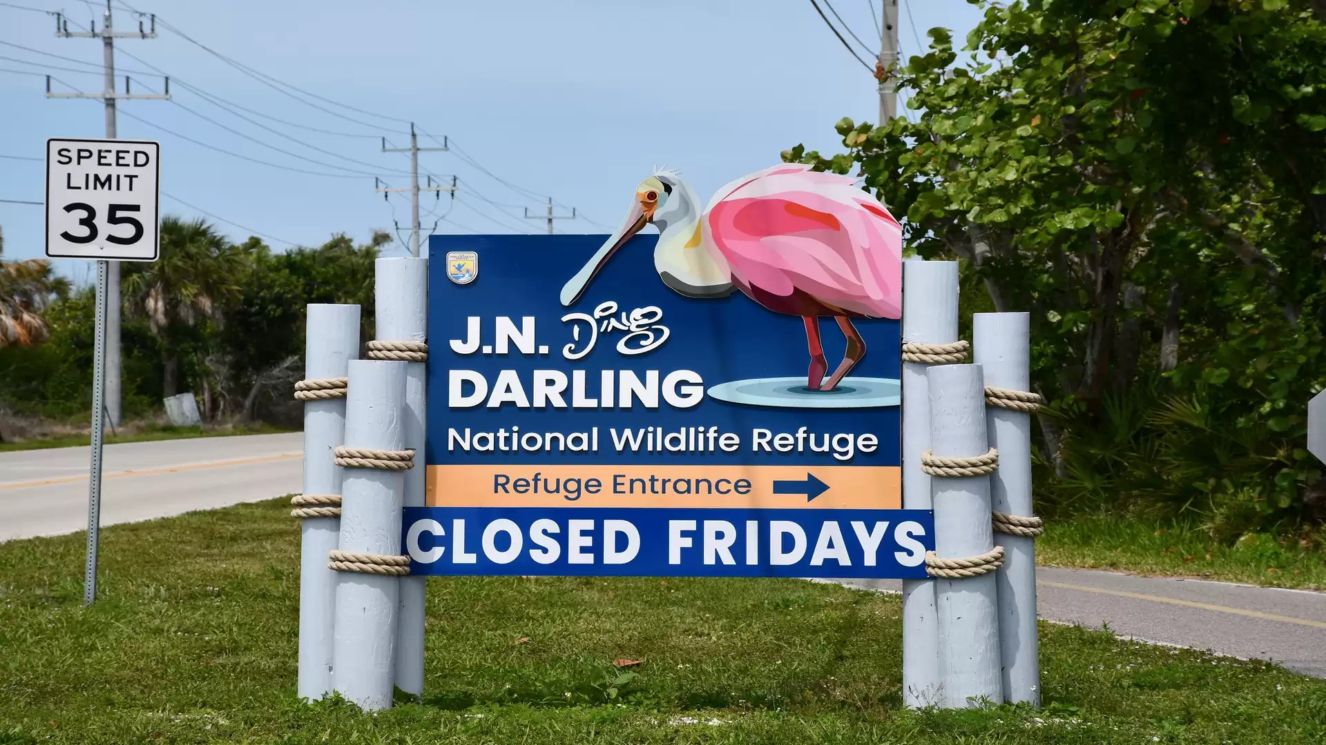 Sign for J.N. Ding Darling National Wildlife Refuge with a pink bird, near a road and lush vegetation.