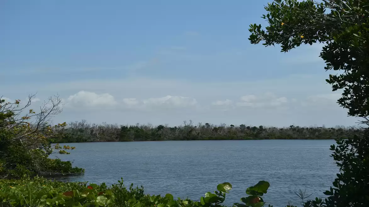 Natural river landscape with blue sky and lush vegetation on the banks.