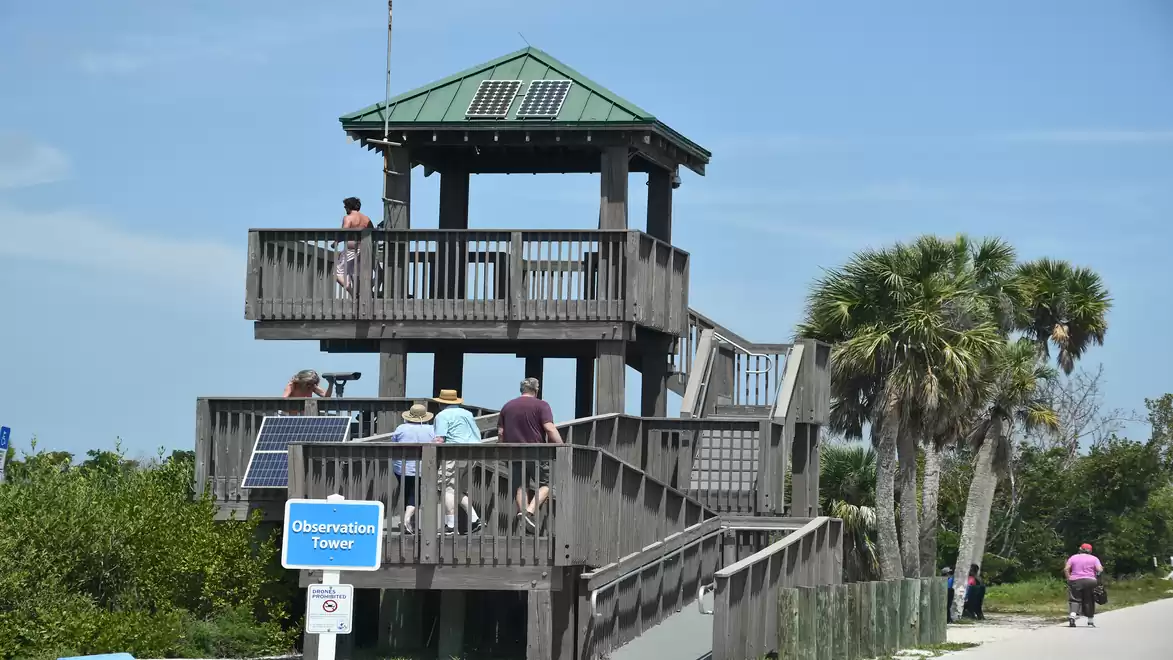 Wooden observation tower in a park with visitors enjoying the view.