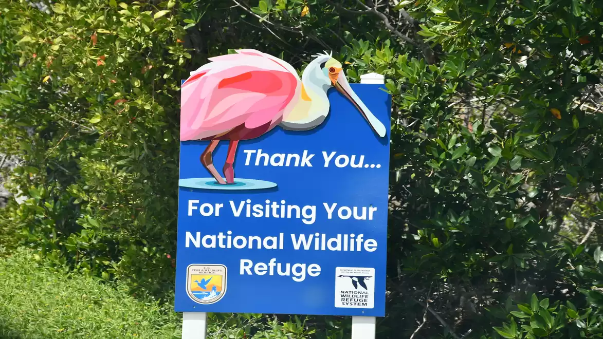 A sign with a roseate spoonbill and the text 'Thank You For Visiting Your National Wildlife Refuge' against a backdrop of bushes.