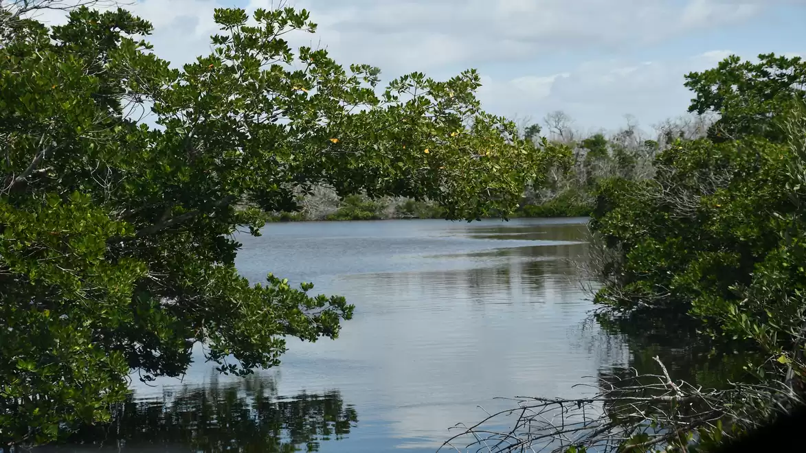 A tranquil body of water, surrounded by lush greenery and trees, reflecting the cloudy sky.