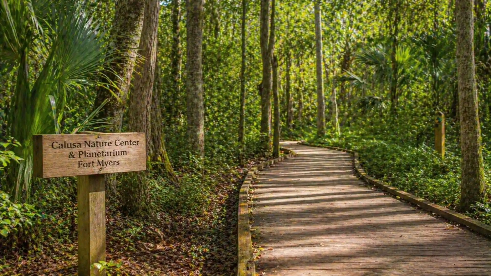 A wooden path leads through a dense forest at the Calusa Nature Center & Planetarium in Fort Myers. The vegetation is lush and green, with a sign pointing to the nature center.