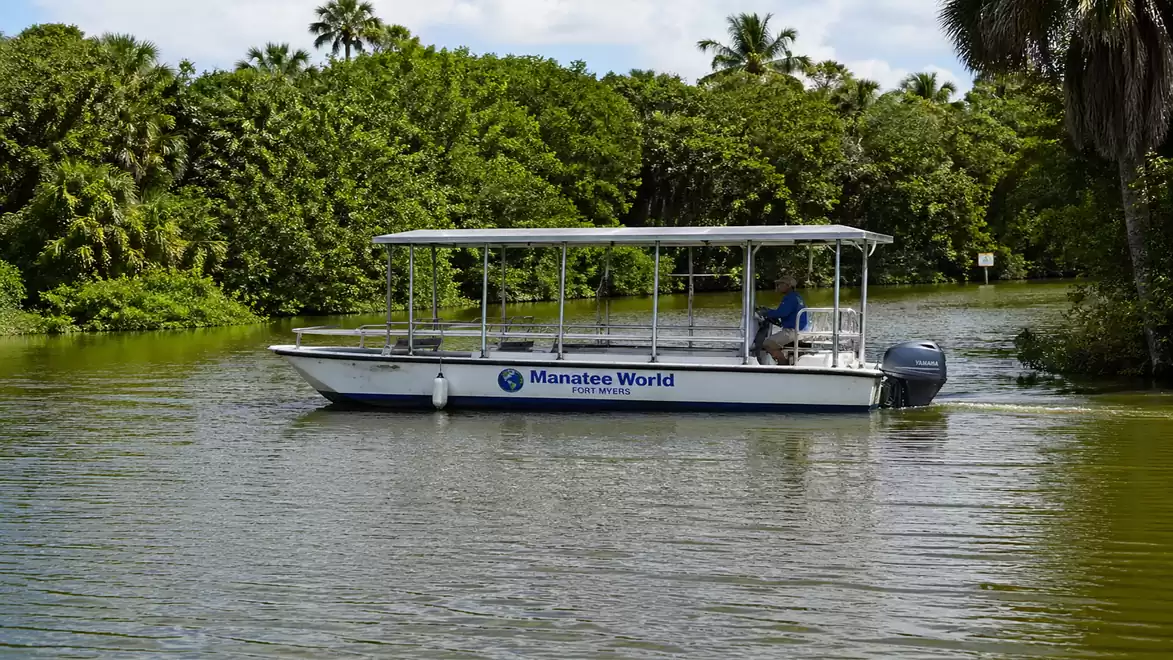 A boat navigates a calm river surrounded by lush vegetation and palm trees, under a clear sky.