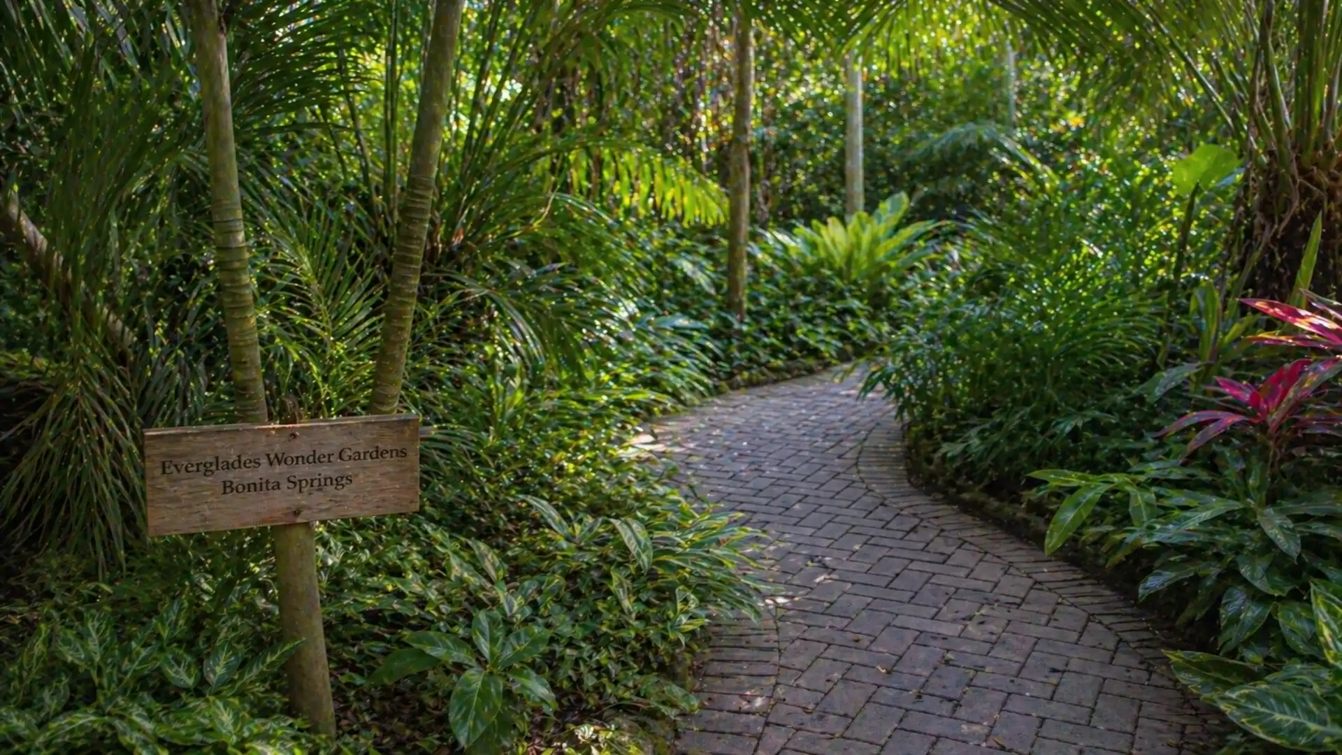 A narrow, paved path leading through a lush green botanical garden with tropical plants and a wooden sign on the left side.